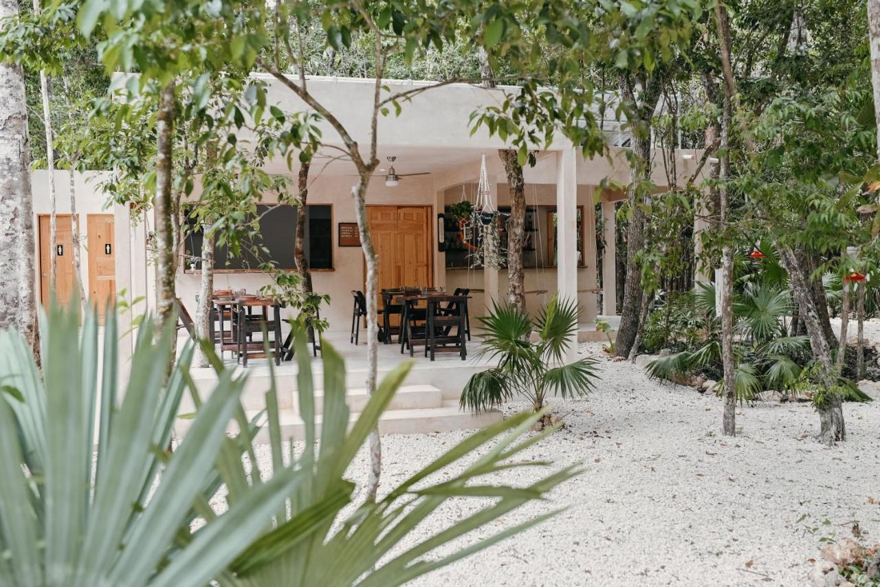 Lunita Jungle Experience Puerto Morelos