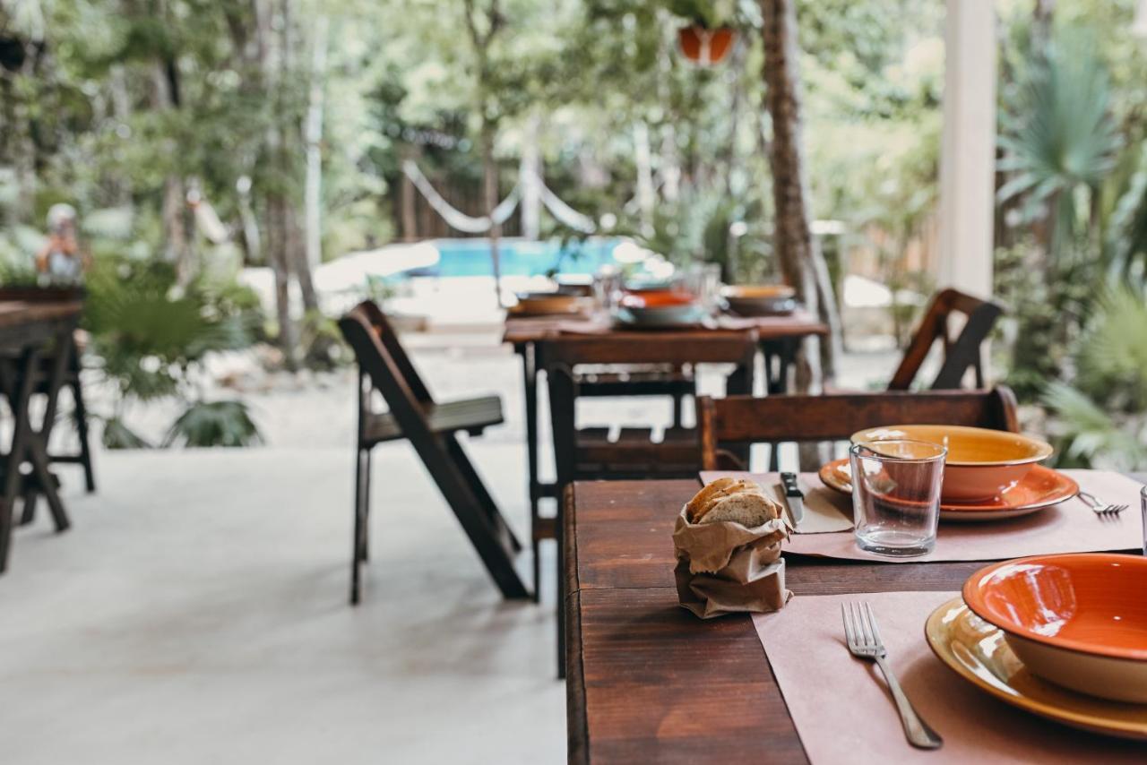 Hotel Lunita Jungle Experience 3*