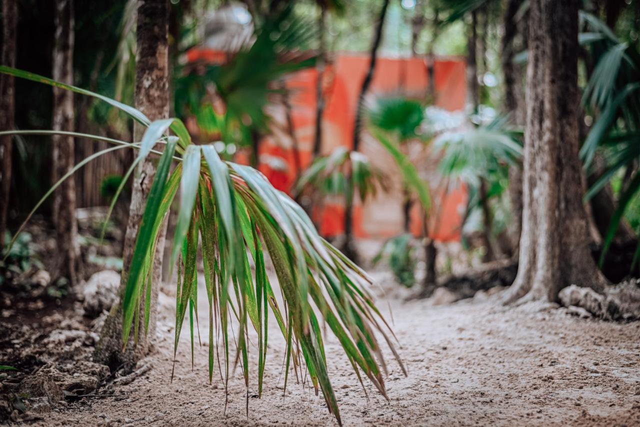 Hotel Lunita Jungle Experience 3*
