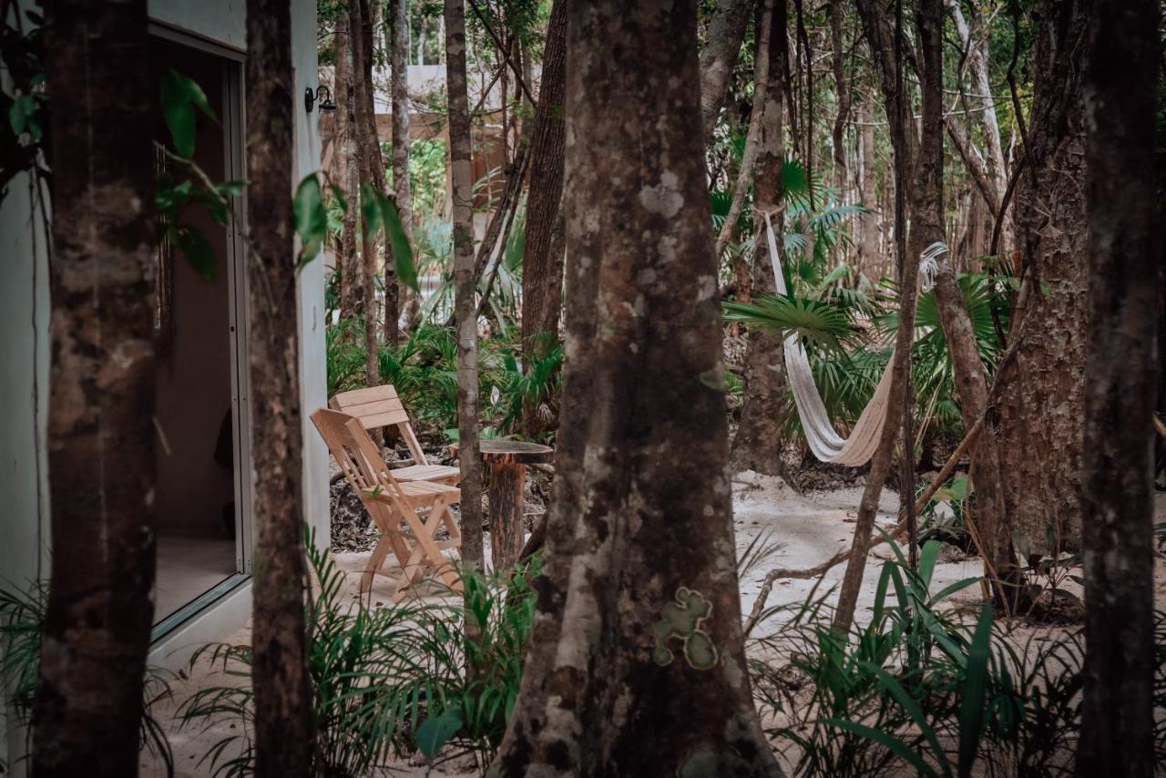 Lunita Jungle Experience Hotel 3*